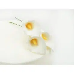 Βρώσιμα λουλούδια - κρίνοι calla - 3τμχ