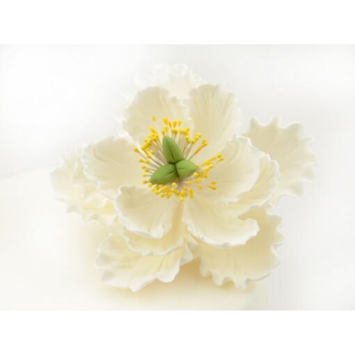 Βρώσιμo λουλούδι - παιώνια - λευκή - 1τμχ